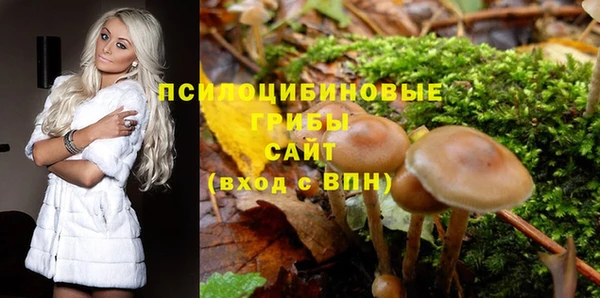 каннабис Слюдянка
