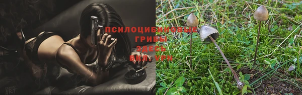 jwh Вяземский