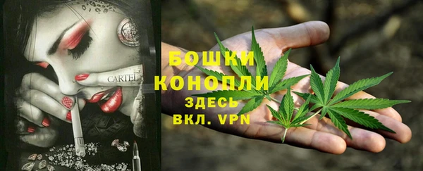 прущая мука Снежногорск